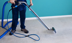 Best Carpet Cleaner