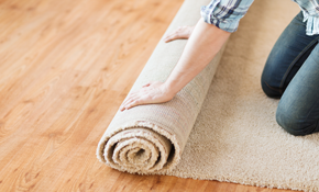 TOP 10 BEST Carpet Remnants in Chicago, IL - Services & Professionals -  January 2024 - Yelp