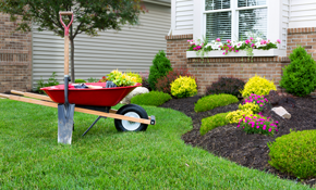 Gomez Landscaping Reviews Austin Tx Angi Angie S List